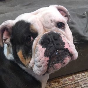 Meet your Posher, Bobby